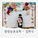 남애초등학교 네이버블로그