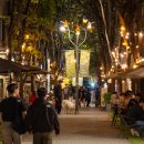 보정동 카페거리 이미지