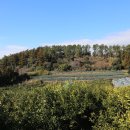 신산삼거리 이미지