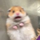 냠냠