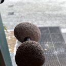 [안심동국당 아토] 대전역 근처 한방카페 추천/ 부모님 모시고 가기 좋은 카페 추천