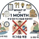 새벽한시 | 마그네슘 먹고 잔 한 달 후기 ｜ 새벽 각성과 피로감 변화 기록