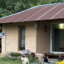 긴물스테이 이미지