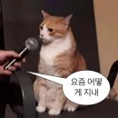아임파인 이미지