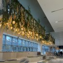 인피니트짐 | 강릉 인피니트풀이 있는 오션뷰호텔 세인트존스호텔