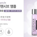 라벤더하우스 이미지