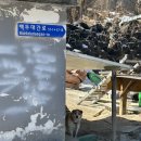 고단1리 이미지