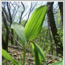 들꽃농장 이미지