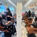 헤어볼하우스 이미지