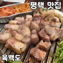 평택고덕맛집 육백도 평택고덕 삼겹살 회식장소로 추천하는 흑돼지 전문점 솔직 후기