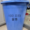 난초는 뿌리가 생명이다 이미지