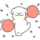 김미경 동물병원 이미지