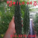 예쁜새싹어린이집 이미지