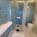 리벤티아 이미지