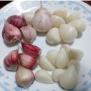 피부마을 네이버블로그