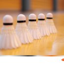 금산군배드민턴장 이미지