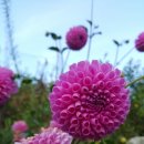 아리따운펜션 이미지