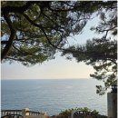 소라의성 관광안내소 | 서귀포 오션뷰 북카페 소라의성 시민 북카페