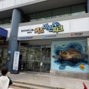 마린파크 동물병원 | 송파 키즈마린파크 어린이 해양환경체험관 예약 방문 후기 아이와 가볼만한곳