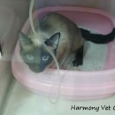 로얄벳 동물병원 이미지