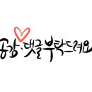 별빛수족관 이미지