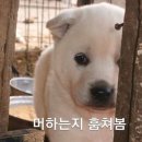 우하하 네이버블로그