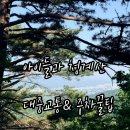 매봉산장식당 | 아이들과 청계산 지하철역에서 가는법 주차팁