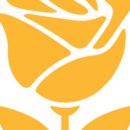 설레임(Sulleim) 이미지