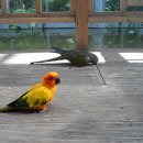 경주버드파크 이미지