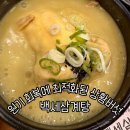 원기 | 백세삼계탕 수원고색점 초복 내돈내산 원기회복 후기