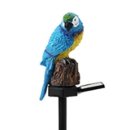 앵무새 이미지
