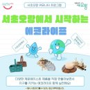 서초오랑 2023 에코라이프 프로그램 참여 후기