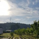 새벽농장 이미지