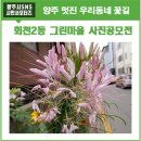 덕계12통마을회관 | 양주 회천 2동 아름다운 그린마을 우리 동네 꽃길!