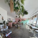 와이낫 | 남양주 별내/청학리 카페 '슈어와이낫' 방문 후기 (리부트 배드민턴 앞)