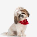 오류동물병원 이미지