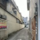 [대구/북구] 반려견프로필사진 &#39;치카치코스튜디오&#39; 대만족후기