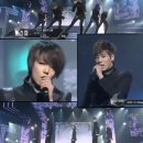 더블제이씨 카카오 검색결과