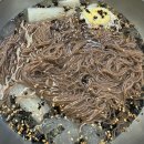 스테이 인 블루 이미지