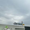 순천다육아트 | 국내 최초! 순천만가든마켓 식물 구경