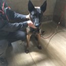 선산대로 이미지