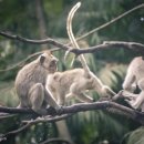 발리헬스클럽 이미지