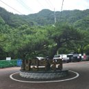소백산국립공원 남천야영장 | 소백산 국립공원 남천야영장 2박3일 A12 사이트 이용후기와 예약방법 안내 계곡 캠핑 물놀이 가능