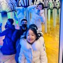 평창 알펜시아 놀거리 거울미로