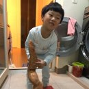 고구마;칡