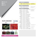 성진상패