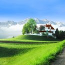 즐거운 통기타 이미지