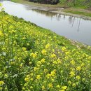 재첩전문점 섬진강 愛재첩 이미지