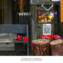 카페 까멜리아 이미지