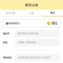 캐시플라이